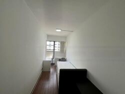 Central Green Condominium (D3), Condominium #447616621